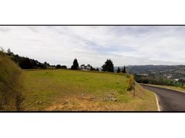  Grundstück zu verkaufen in Guarne, Antioquia, Guarne, Antioquia