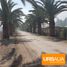  Grundstück zu vermieten in Colina, Santiago, Colina, Chacabuco