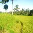  Tanah for sale in Ubud, Gianyar, Ubud