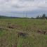  Land for sale in Kerambitan, Tabanan, Kerambitan