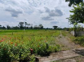  Tanah for sale in Klaten, Jawa Tengah, Ceper, Klaten