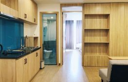Cho thuê nhà riêng, 11 PN, 100 m², Ngũ Hành Sơn