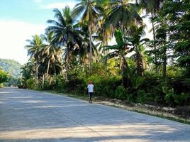  Terrain for sale in General Luna, Surigao del Norte, General Luna