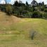 Terrain à vendre à Rionegro, Antioquia, Rionegro