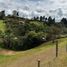 Terrain à vendre à Rionegro, Antioquia, Rionegro
