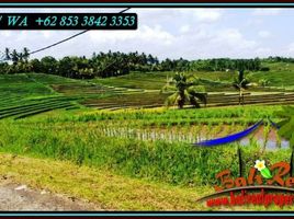  Land for sale in Selemadeg, Tabanan, Selemadeg