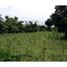  Land for sale in Bandung, West Jawa, Cilengkrang, Bandung