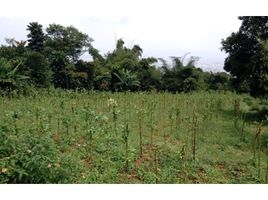  Land for sale in Bandung, West Jawa, Cilengkrang, Bandung