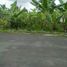  Terreno (Parcela) en venta en Ngaglik, Yogyakarta, Ngaglik, Sleman