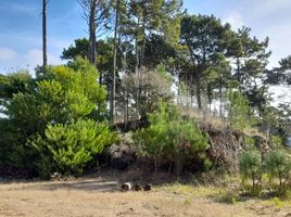  Terreno (Parcela) en venta en Pinamar, Buenos Aires, Pinamar