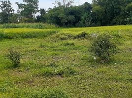 在雍亚卡他出售的 土地, Ngaglik, Sleman, 雍亚卡他