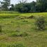 Land for sale in Ngaglik, Yogyakarta, Ngaglik, Sleman, Yogyakarta