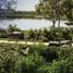  Land for sale in Cancun, Quintana Roo, Cancun