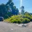  Terreno (Parcela) en venta en Mlati, Yogyakarta, Mlati