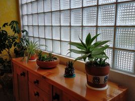 3 Bedroom House for rent in Cuajimalpa De Morelos, Mexico City, Cuajimalpa De Morelos