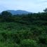 Terrain à vendre à Dist Pochutla, Oaxaca, Dist Pochutla