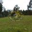  Land for sale in Azuay, Turi, Cuenca, Azuay