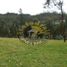  Land for sale in Azuay, Turi, Cuenca, Azuay