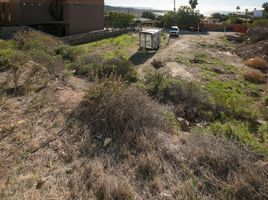  Grundstück zu verkaufen in Tijuana, Baja California, Tijuana