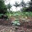  Terreno (Parcela) en venta en Serpong, Banten, Serpong