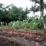  Terreno (Parcela) en venta en Serpong, Banten, Serpong