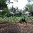  Terreno (Parcela) en venta en Serpong, Banten, Serpong