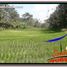  Land for sale in Tegallalang, Gianyar, Tegallalang