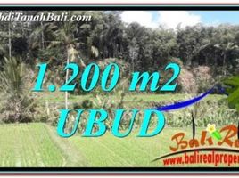  Land for sale in Tegallalang, Gianyar, Tegallalang