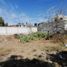  Terreno (Parcela) en venta en Zempoala, Hidalgo, Zempoala