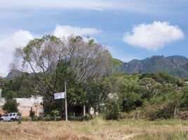  토지을(를) Tepoztlan, 모렐 로스에서 판매합니다., Tepoztlan