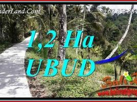  Land for sale in Ubud, Gianyar, Ubud