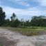  Land for sale in Yogyakarta, Seyegan, Sleman, Yogyakarta