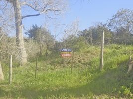  Grundstück zu verkaufen in La Costa, Buenos Aires, La Costa