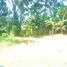  Terrain for sale in Tegallalang, Gianyar, Tegallalang