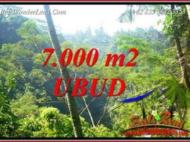  Terrain for sale in Tegallalang, Gianyar, Tegallalang