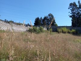  Terreno (Parcela) en venta en Conocoto, Quito, Conocoto