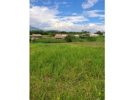  Terreno (Parcela) en venta en Pereira, Risaralda, Pereira