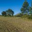  Land for sale in Colon, Entre Rios, Colon