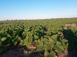  Terreno (Parcela) en venta en Fray Justo Santa Maria De Oro, Chaco, Fray Justo Santa Maria De Oro