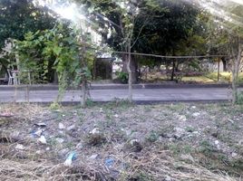  Land for sale in Lapu-Lapu City, Central Visayas, Lapu-Lapu City, Cebu