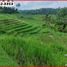  Land for sale in Kerambitan, Tabanan, Kerambitan