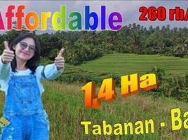  Land for sale in Kerambitan, Tabanan, Kerambitan