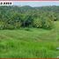  Land for sale in Kerambitan, Tabanan, Kerambitan