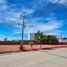  Land for rent in Culiacan, Sinaloa, Culiacan
