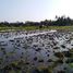  Terrain for sale in Tampak Siring, Gianyar, Tampak Siring