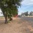  Terreno (Parcela) en alquiler en Aguascalientes, Pabellon De Arteaga, Aguascalientes