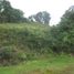  Land for sale in Caldas, Manizales, Caldas