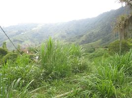  Land for sale in Caldas, Manizales, Caldas