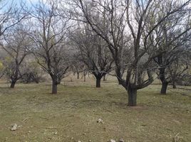 Land for sale in Chacabuco, Santiago, Tiltil, Chacabuco