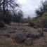  Land for sale in Chacabuco, Santiago, Tiltil, Chacabuco